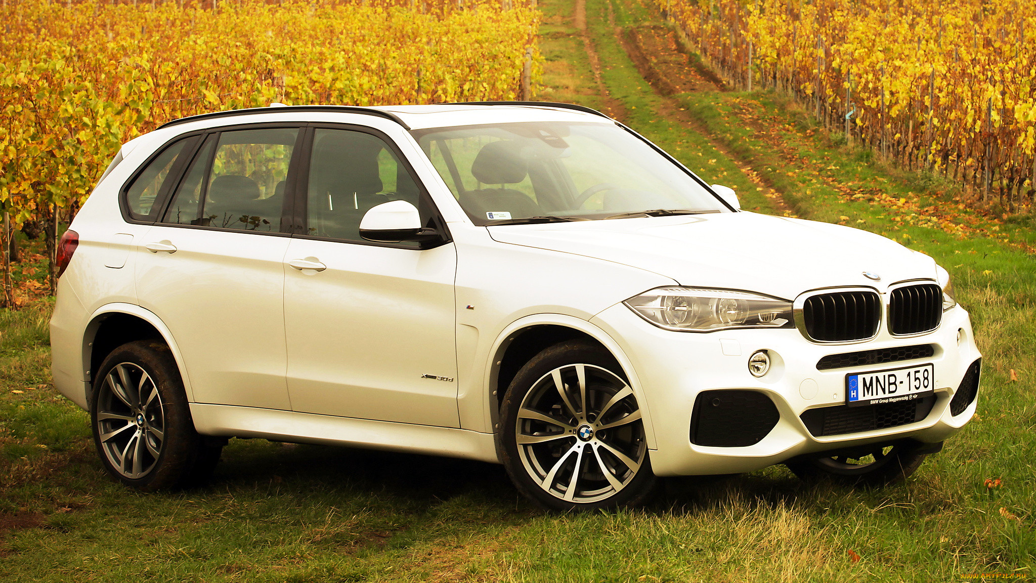 bmw x5, , bmw, , , bayerische, motoren, werke, ag